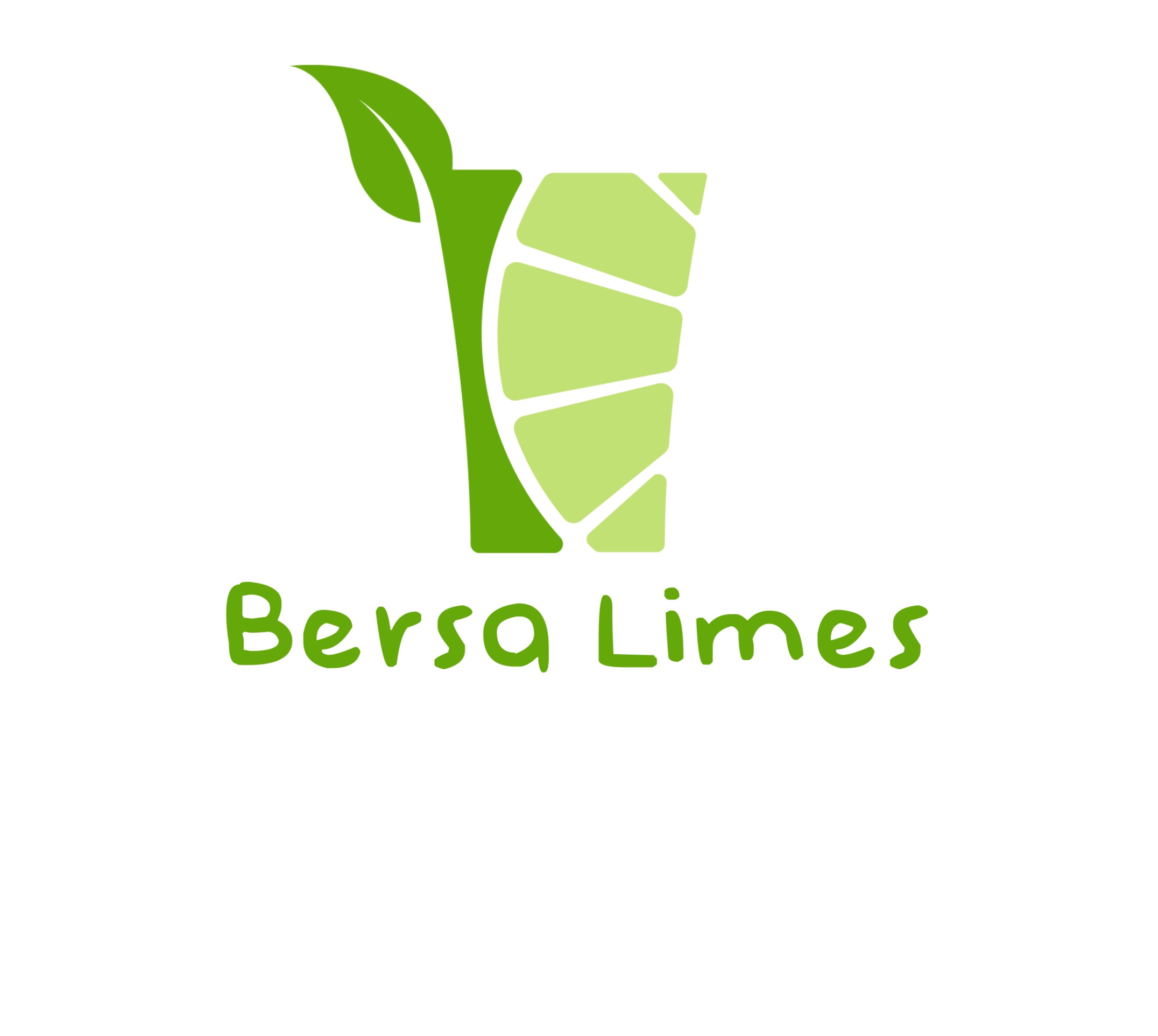 Bersa Limes